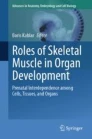 Roles of skeletal muscle in organ development image