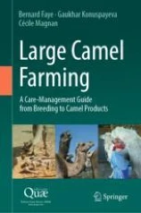 Large camel farming image