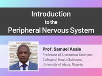 Introduction to the peripheral nervous system