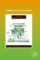 Hormones and Synapse image