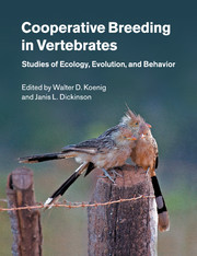 Cooperative Breeding in Vertebrates:
Studies of Ecology, Evolution, and Behavior image