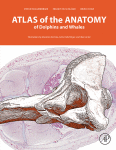 Atlas of the Anatomy of Dolphins and Whales圖片