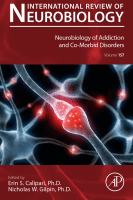 Neurobiology of Addiction and Co-Morbid Disorders image
