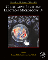 Correlative Light and Electron Microscopy IV image
