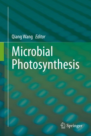 Microbial Photosynthesis圖片