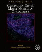 Carcinogen-driven mouse models of oncogenesis image