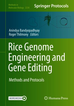 Rice Genome Engineering and Gene Editing image