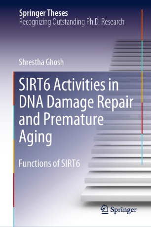 SIRT6 activities in DNA damage repair and premature aging image