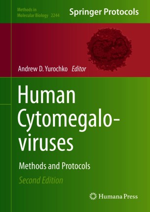 Human Cytomegaloviruses圖片