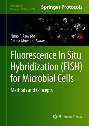 Fluorescence In-Situ Hybridization (FISH) for Microbial Cells圖片