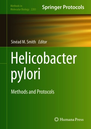 Helicobacter Pylori圖片