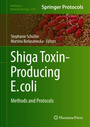 Shiga Toxin-Producing E. coli image