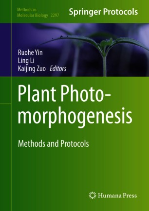 Plant Photomorphogenesis圖片