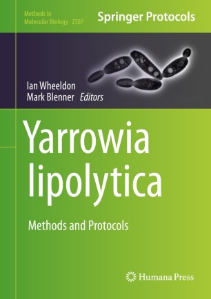Yarrowia lipolytica圖片