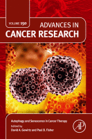 Autophagy and Senescence in Cancer Therapy image