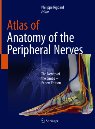 Atlas of Anatomy of the peripheral nerves : The Nerves of the Limbs – Expert Edition圖片