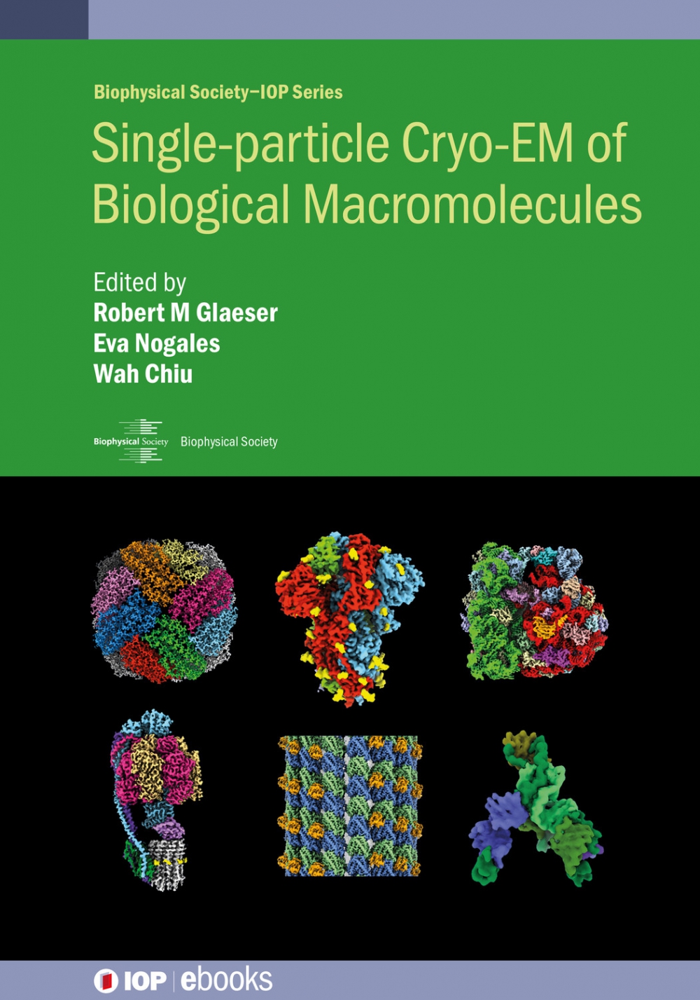 Single-particle Cryo-EM of Biological Macromolecules image