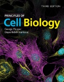 Principles of Cell Biology圖片