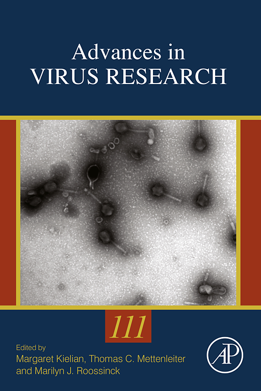 Advances in Virus Research v.111 image