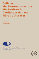 Cellular Mechanotransduction Mechanisms in Cardiovascular and Fibrotic Diseases image