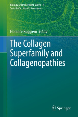The Collagen Superfamily and Collagenopathies圖片