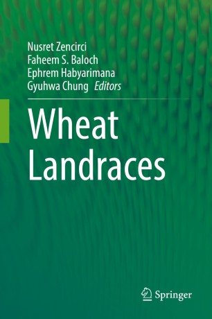 Wheat Landraces圖片
