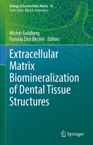 Extracellular Matrix Biomineralization of Dental Tissue Structures image