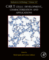 CAR T cells: development, characterization and applications image