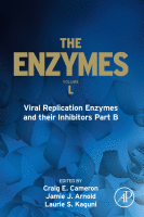 Viral Replication Enzymes and their Inhibitors Part B image