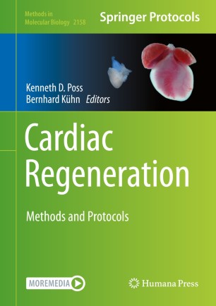 Cardiac Regeneration : Methods and Protocols image