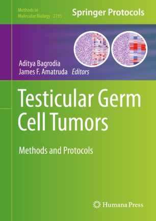 Testicular Germ Cell Tumors : Methods and Protocols圖片