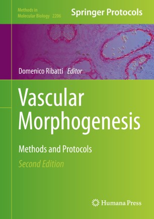 Vascular Morphogenesis : Methods and Protocols image