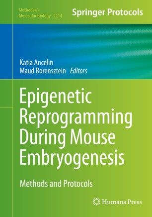 Epigenetic Reprogramming During Mouse Embryogenesis : Methods and Protocols image
