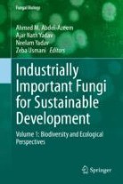 Industrially Important Fungi for Sustainable Development Volume 1: Biodiversity and Ecological Perspectives image