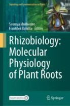 Rhizobiology: Molecular Physiology of Plant Roots圖片