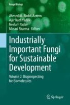 Industrially Important Fungi for Sustainable Development Volume 2: Bioprospecting for Biomolecules圖片