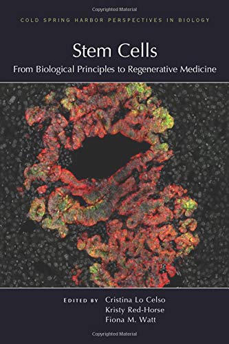 Stem cells : from biological principles to regenerative medicine圖片