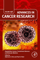 Hepatobiliary Cancers: Translational Advances and Molecular Medicine image