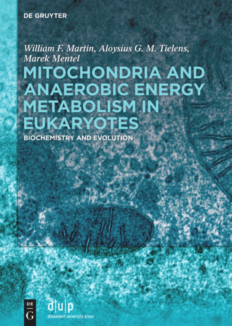 Mitochondria and anaerobic energy metabolism in eukaryotes : biochemistry and evolution圖片