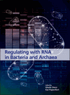 Regulating with RNA in bacteria and archaea image