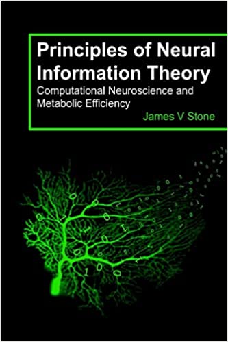 Principles of neural information theory : computational neuroscience and metabolic efficiency圖片