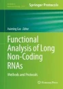 Functional analysis of long non-coding RNAs image