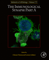 The Immunological Synapse Part A image