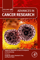 Epigenetic regulation of cancer in response to chemotherapy image
