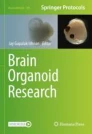 Brain organoid research image