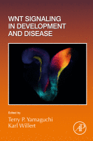 WNT signaling in development and disease image