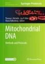 Mitochondrial DNA image