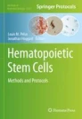 Hematopoietic Stem Cells image