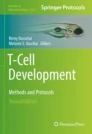 T-Cell Development圖片