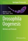 Drosophila Oogenesis image